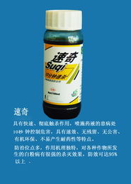 潍坊登峰 有机农药技术的创新高地与产品展厅